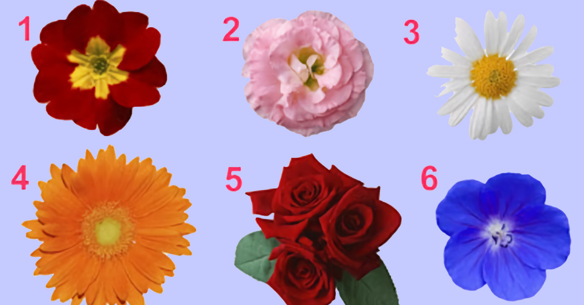 Тест на 1 минутку! Просто выбери цветок — и мы раскроем тайну твоей женственности.