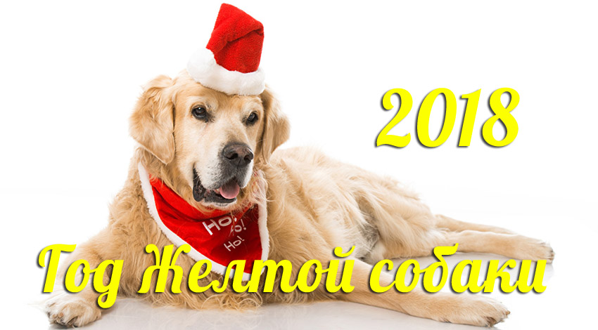 Астрологический прогноз на 2018 год, что предсказывает Желтая Земляная Собака 