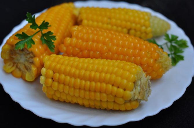 6 причин, чтобы не есть кукурузу