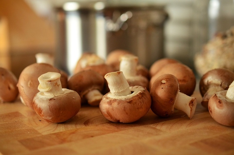 7 секретов о грибах, о которых вы 100% не знали. Любителям грибов посвящается!