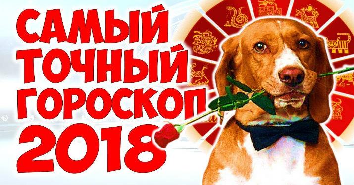Самый точный гороскоп на 2018 год Желтой Земляной Собаки для всех знаков зодиака