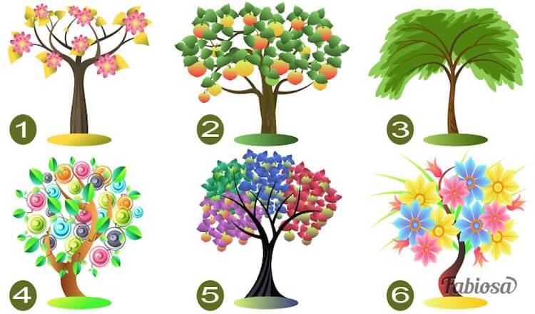 Тест: Выберите дерево, и мы расскажем тайны вашей личности!