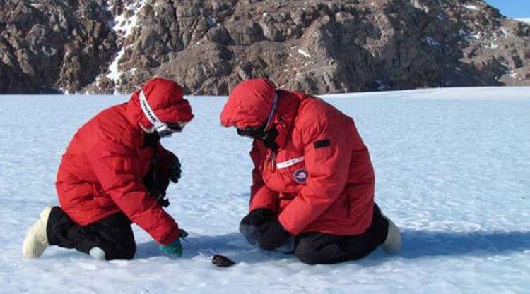 Шокирующие находки ученых в Антарктиде!