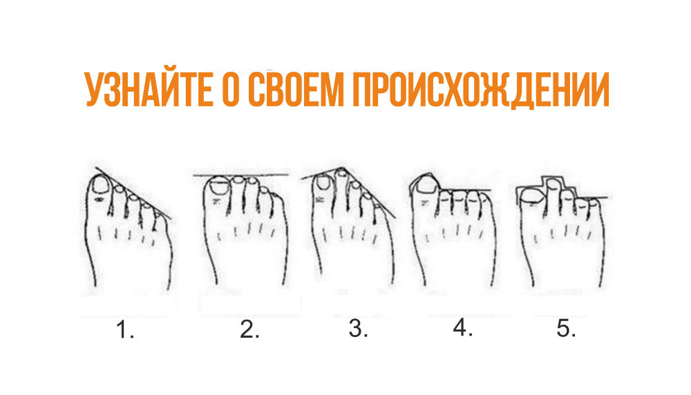 По расположению пальцев на ногах можно узнать, кем были твои предки