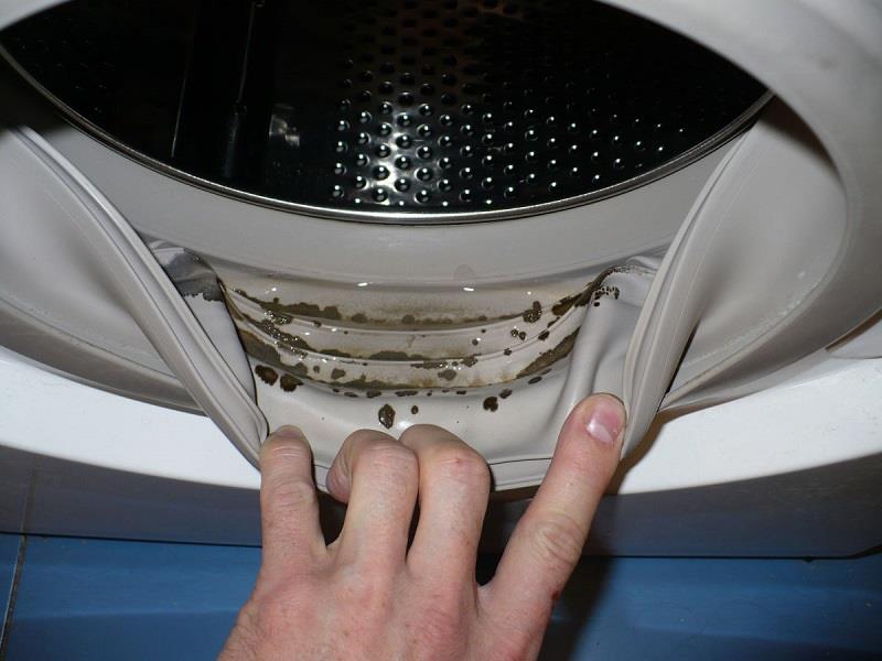 Чудо-метод, который поможет избавиться от плесени в стиральной машине!