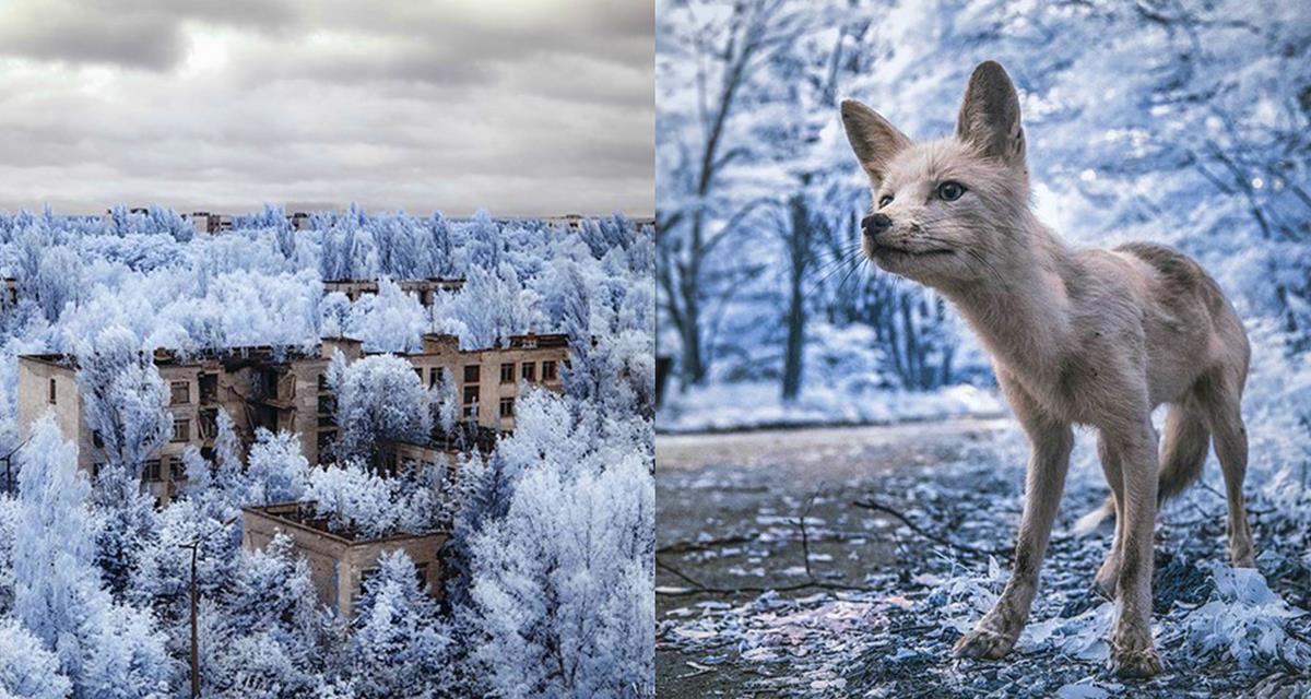 15 невероятных снимков Чернобыля. Это потрясающе!
