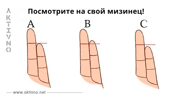 Вот как длина ваших пальцев влияет на ваш характер! С ума сойти! 
