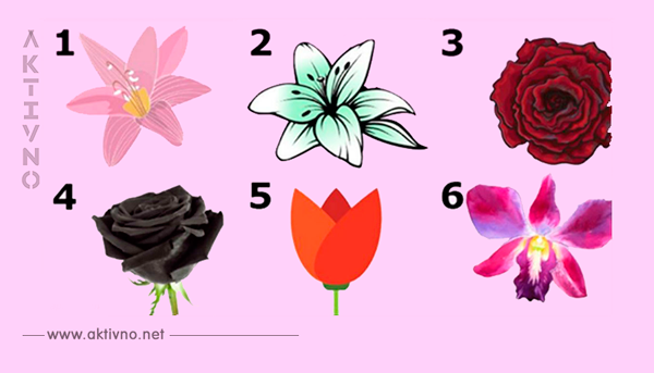 Выберите цветок - и узнаете красивый секрет своей собственной личности