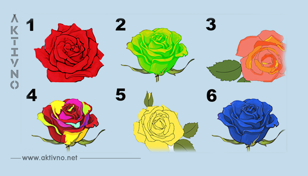 Выберите самую красивую розу   и мы расскажем главный секрет вашей личности