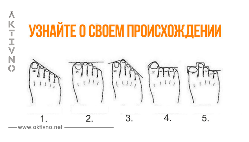 По расположению пальцев на ногах можно узнать, кем были твои предки
