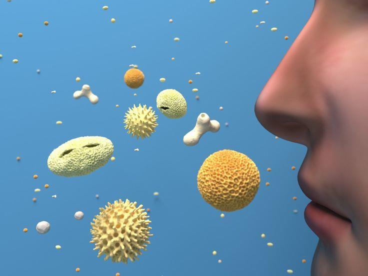 Основные способы борьбы с аллергией