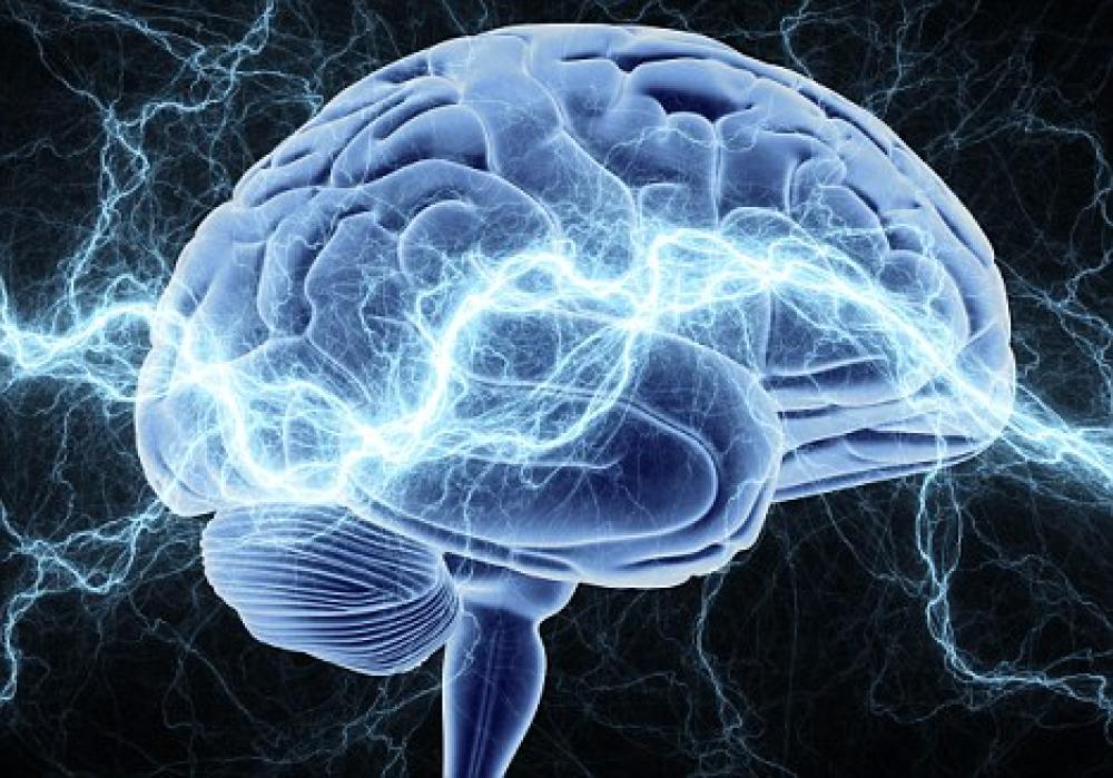10 способов увеличить уровень допамина в мозге