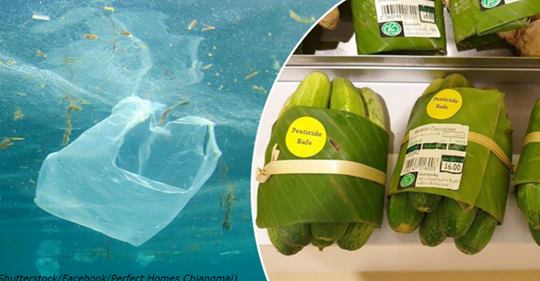 Тайский супермаркет заворачивает покупки в банановые листы - вместо пластика