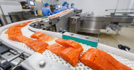 Токсиколог: Норвежский лосось — самая токсичная еда во всём мире