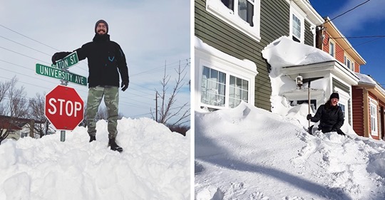 В Канаде выпало рекордное количество снега, и фото оттуда — ответ на вопрос о том, куда делась наша зима