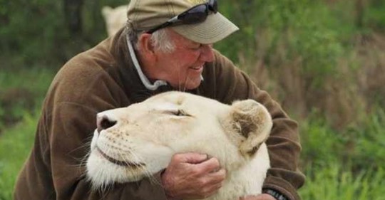  Защитника природы во время игры растерзали две его любимые белые львицы