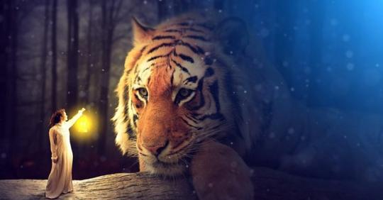 Не злите Тигра – отпугнете удачу: в чем нельзя встречать Новый 2022 год