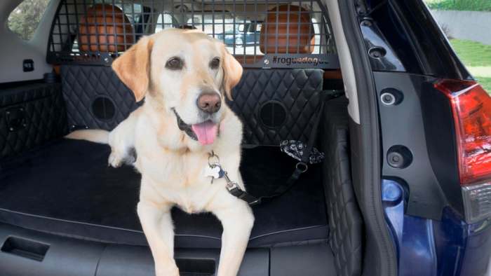 Компания Nissan создает первый в мире багажник для собак