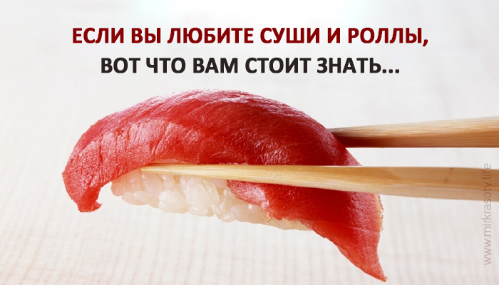 Вредны ли суши для здоровья? Ответ найден, и он вам не понравится…