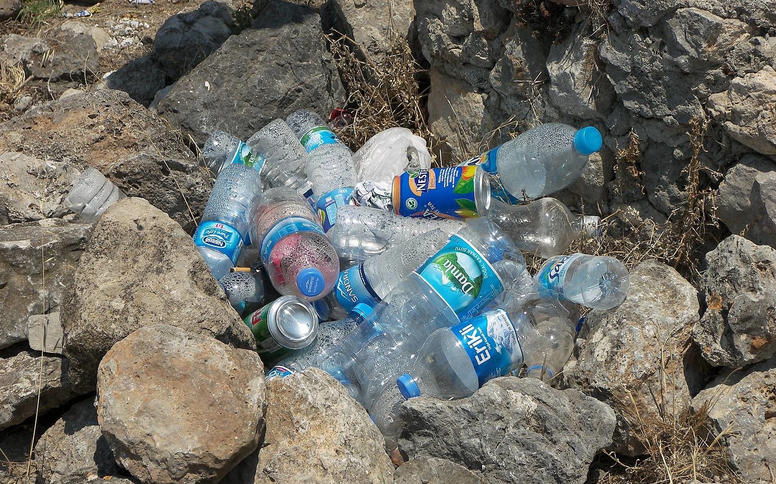 Вот почему нельзя повторно использовать пластиковую бутылку для воды, даже если вы ее помыли. Жуть!