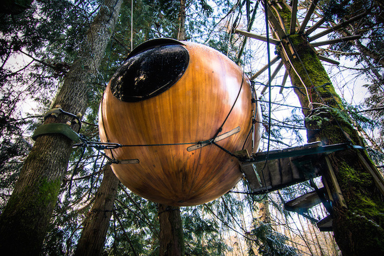 Этот канадский отель со сферическими домиками предлагает вам спать на деревьях